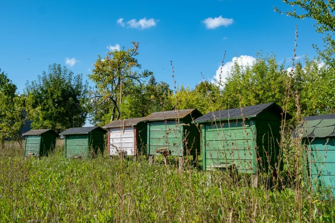 leszczewek-agroturystyka-pokoje (18)