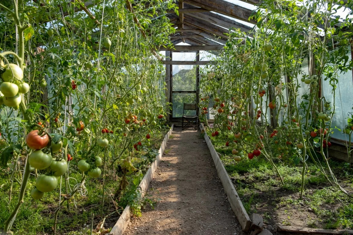 leszczewek-agroturystyka-pokoje (20)