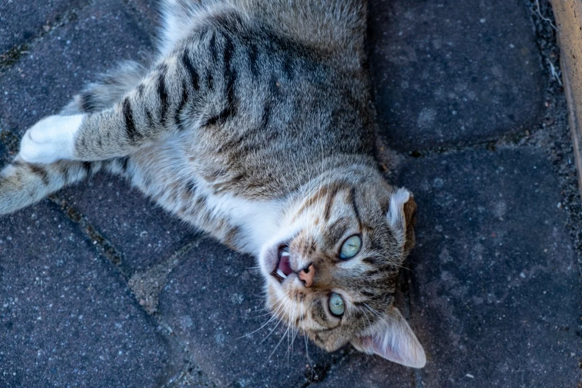 leszczewek-agroturystyka-pokoje (31)