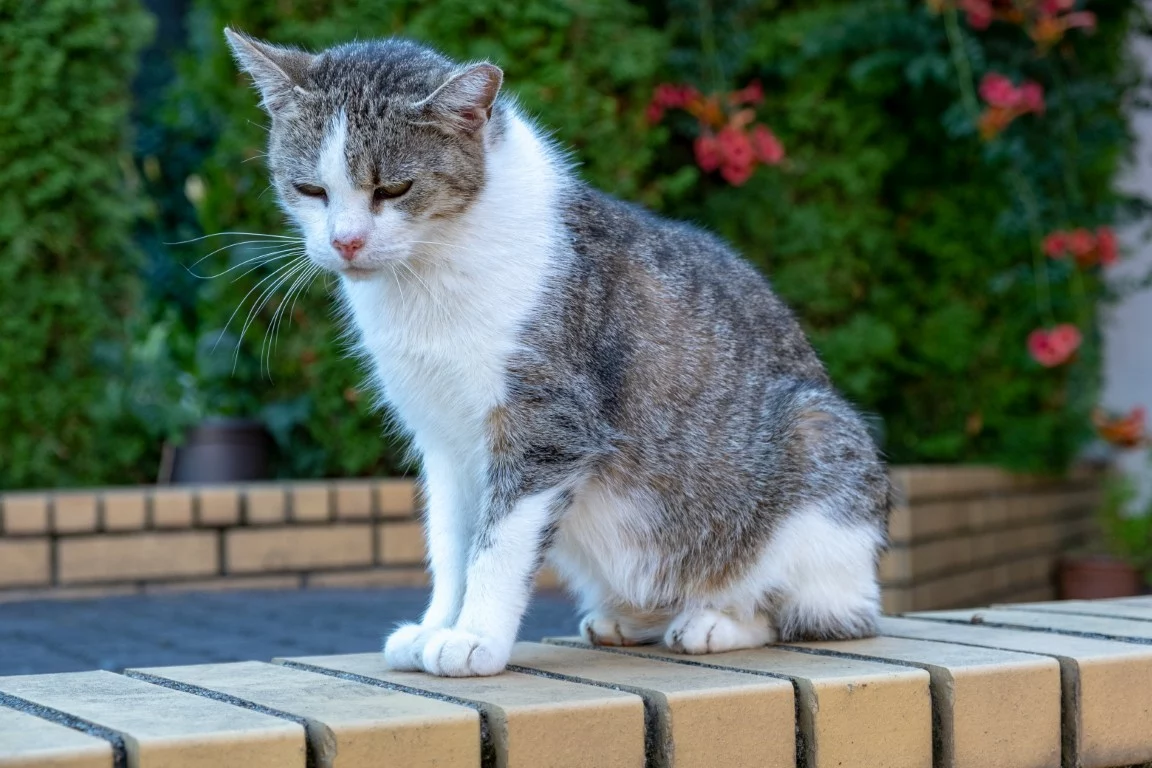 leszczewek-agroturystyka-pokoje (32)