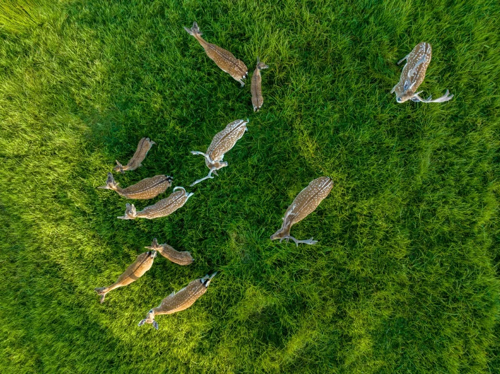 leszczewek-agroturystyka-pokoje (8)