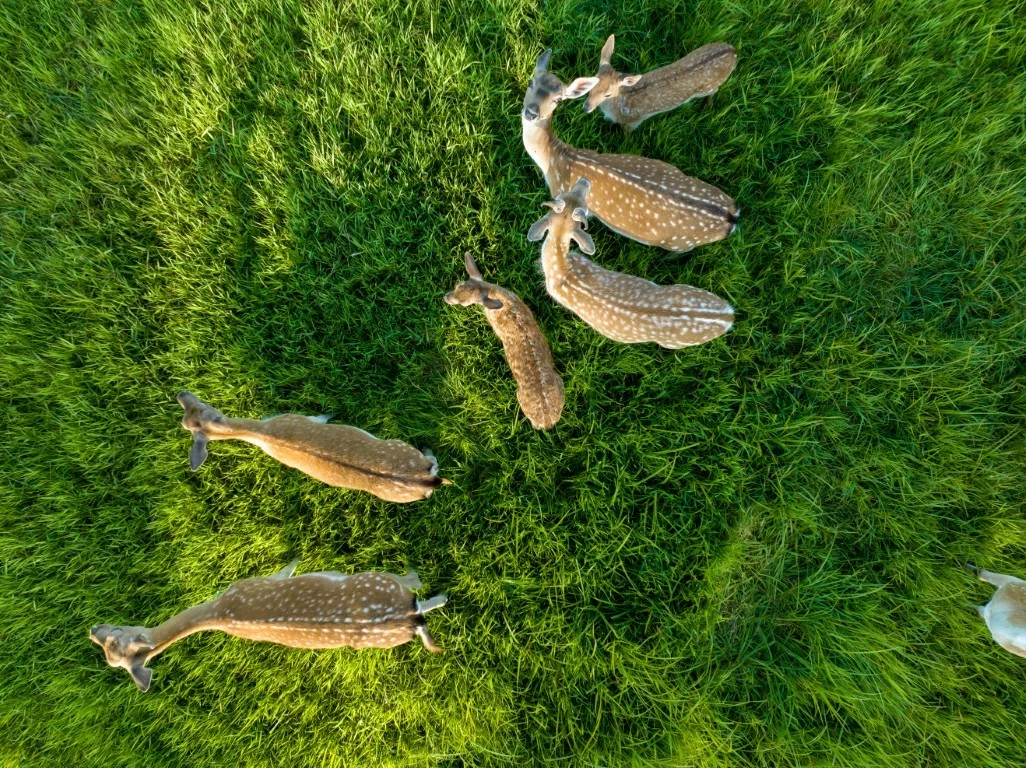 leszczewek-agroturystyka-pokoje (9)